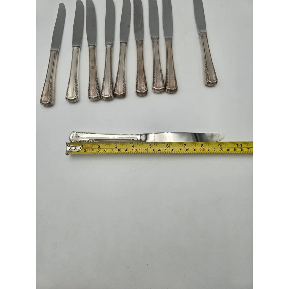Holmes & Edwards May Queen Silverplate Dinner Knives Set of 10 Floral 9.25in